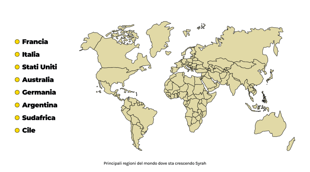 Principali regioni del mondo dove sta crescendo Syrah
