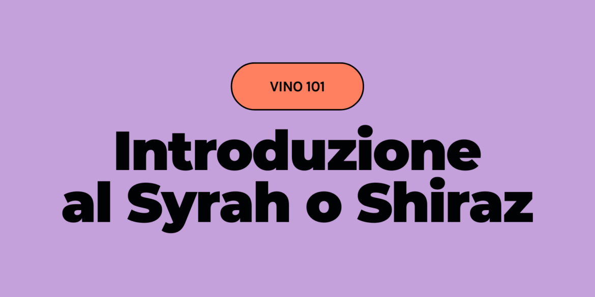 Syrah o shiraz: cos'è, origini e quale cibo abbinare