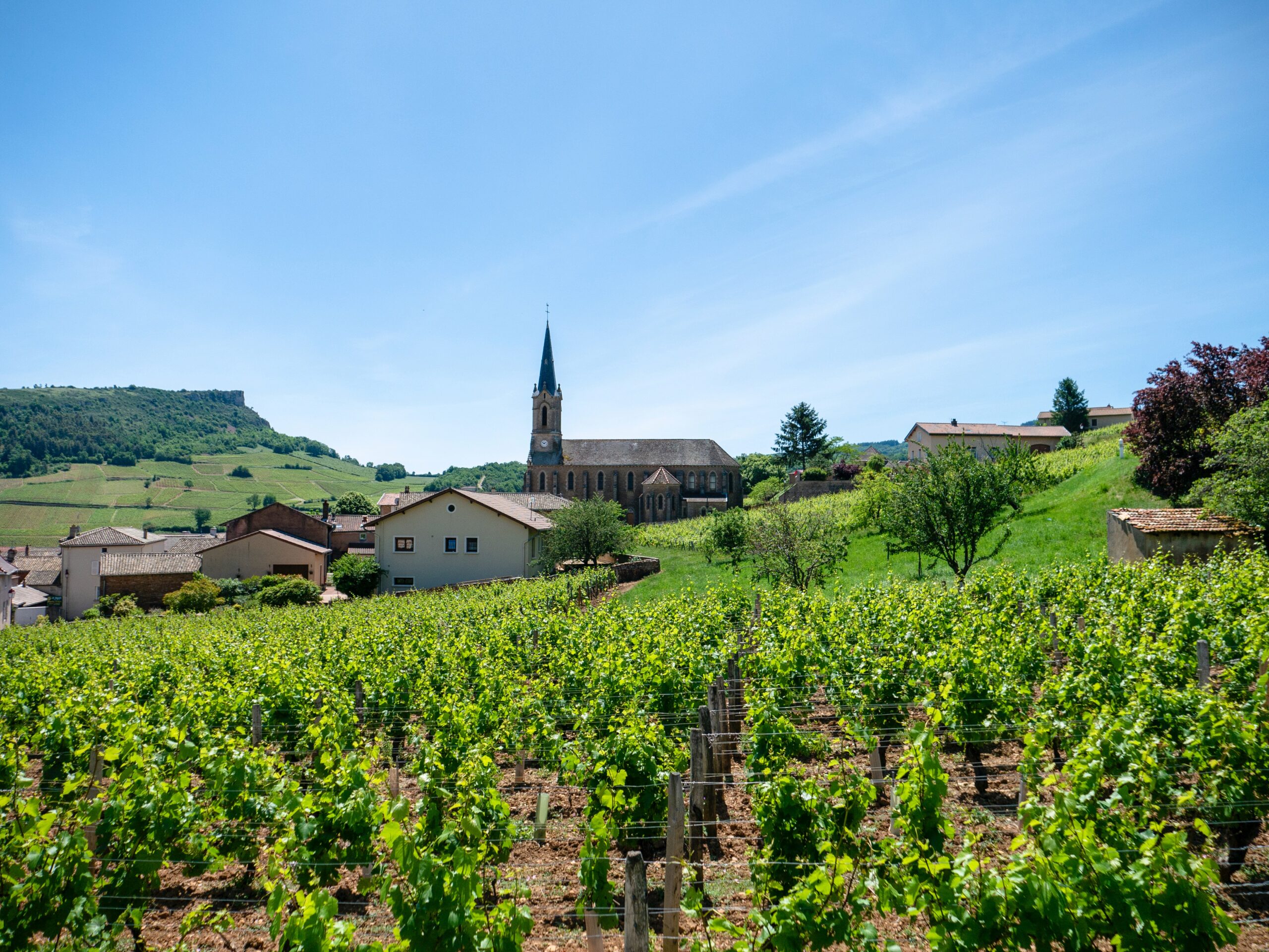 Regioni francesi del vino